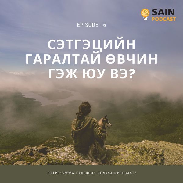 Сэтгэцийн гаралтай өвчлөлт гэж юу вэ? Хий юм харах сонсох зэрэг нь энэ төрлийн өвчин байх боломжтой.